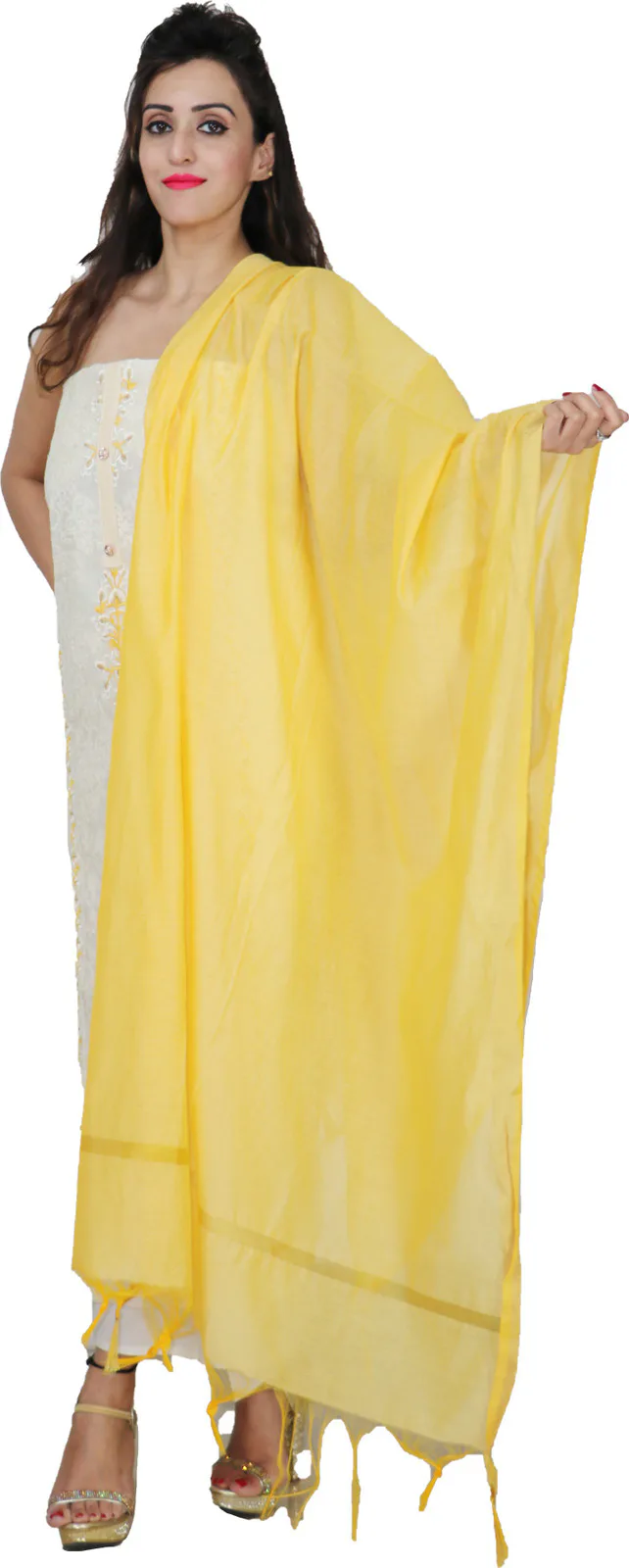 Shimti Chanderi Embroidered Salwar Suit Material () – Multicolor – view 4